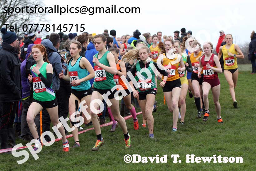 Intermediate girls 2019 New Balance English Schools Cross Country Champs, Temple Newsam, Leeds. Photo:  David T. Hewitson/Sports for All Pics